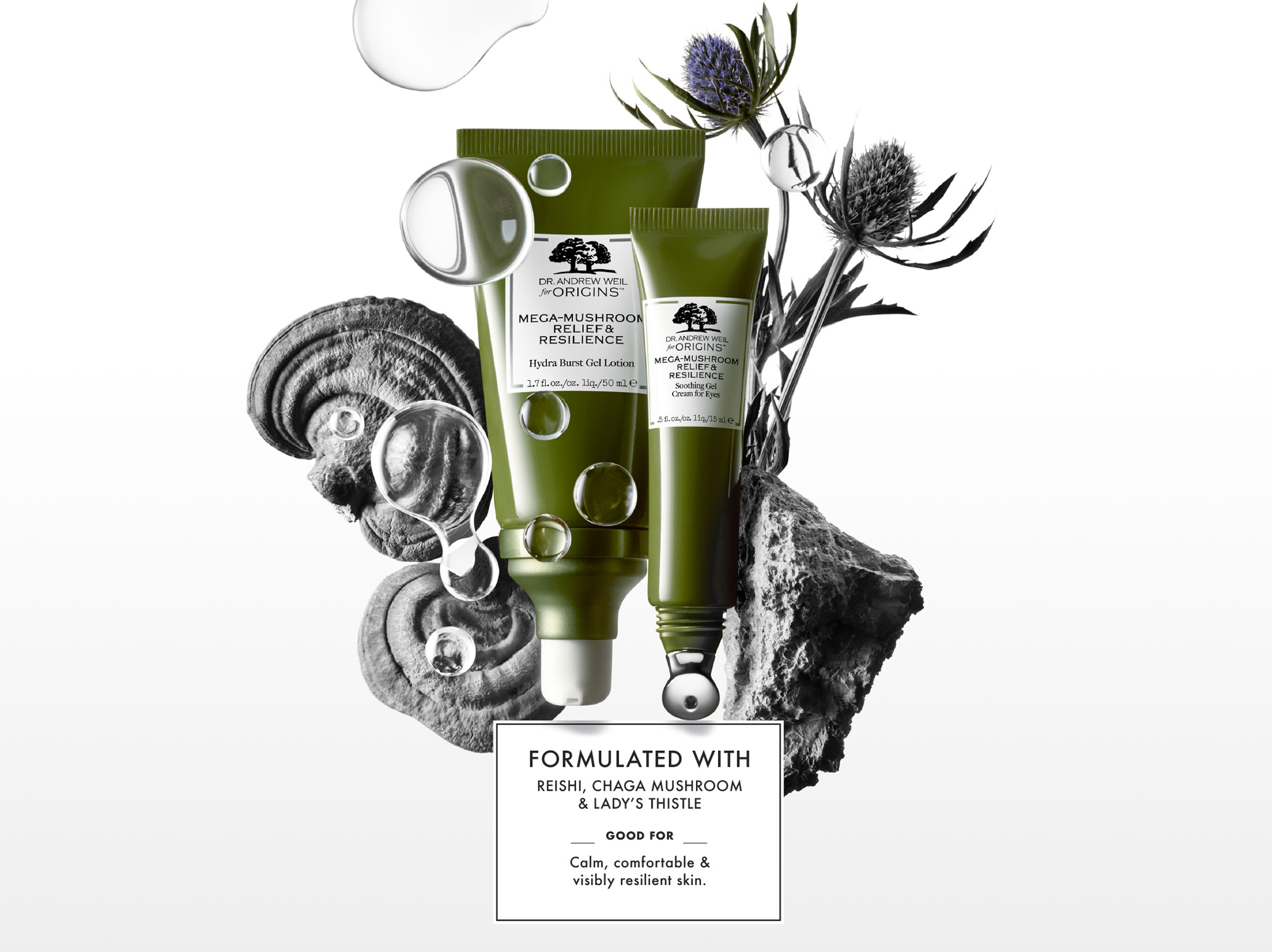 SP19_PAGE_DIVIDER_HB