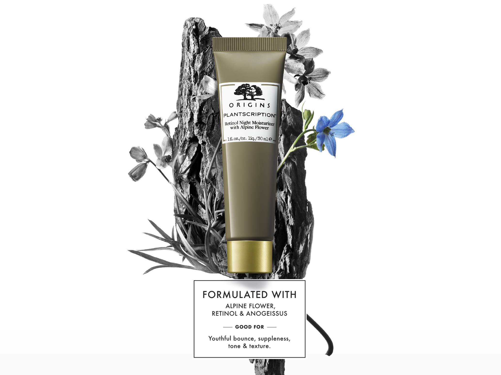 SP19_PAGE_DIVIDER_PLS